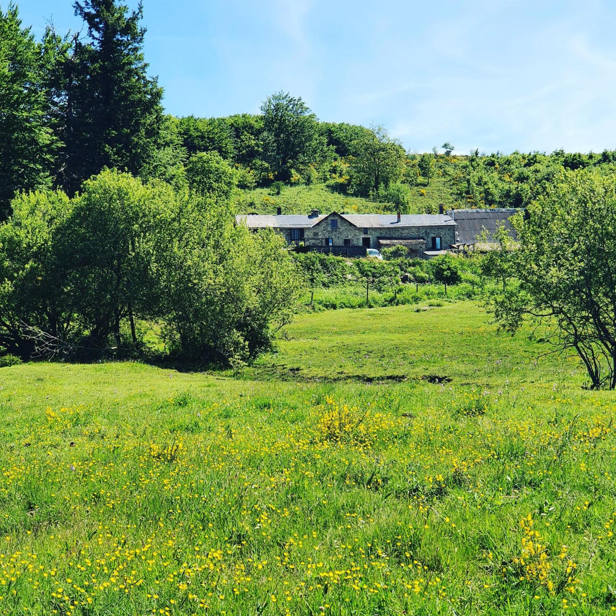 Ranch Du Haut-Languedoc La Salvetat-sur-Agout Экстерьер фото